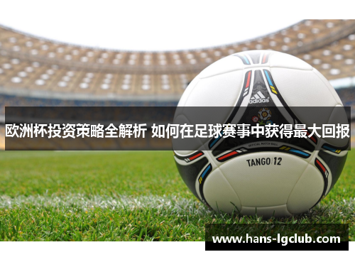 欧洲杯投资策略全解析 如何在足球赛事中获得最大回报